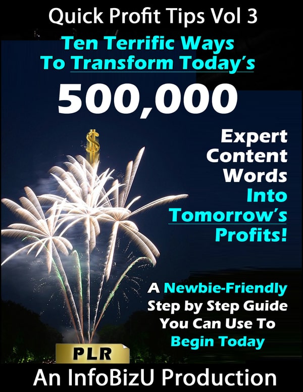 Newbie Friendly Guide to Profit From PLR